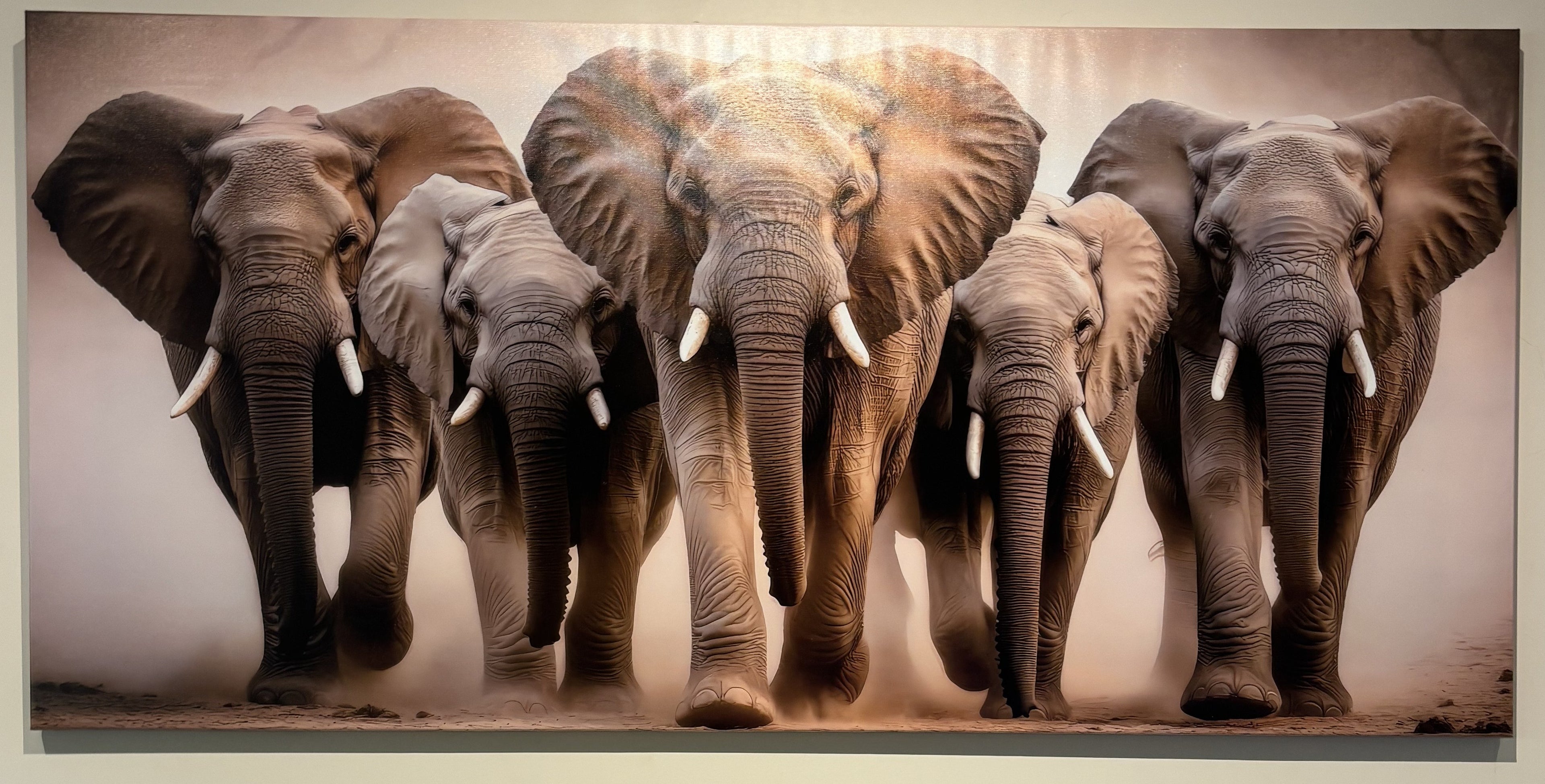 African Elephant Framed Canvas Wall Art - 70cm x 140cm